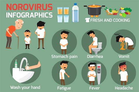 what are the symptoms of norovirus